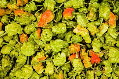 《逃离塔科夫》PVE Zone+竞技场打包卖 优惠15%